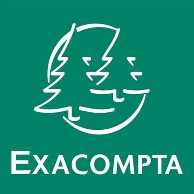 Exacompta - Ref 13302E - Bristol Plain Board for Printing (Pack of 100) - 100 x 150mm in Size, 205gsm Card, Compatible with Printers - Suitable for Exam Revision & Notes - White