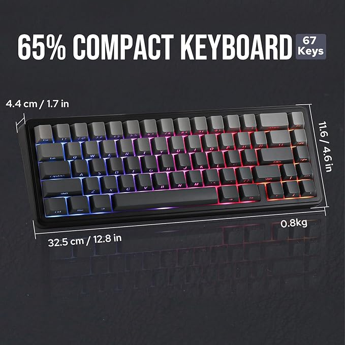 EPOMAKER x Aula F65 65% Wireless Mechanical Keyboard, Hot Swappable Gasket Custom Gaming Keyboard with Five-Layer Padding, RGB Backlit, Bluetooth/2.4GHz/USB-C (Black, Reaper Switch)