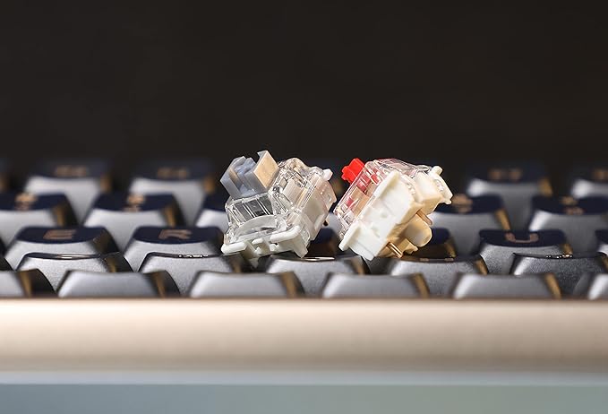 GATERON G Pro 3.0 Silver Keyboard Switches, Pre-lubed 5 pins RGB Linear for Gaming Mechanical Keyboard (Silver,35PCS)