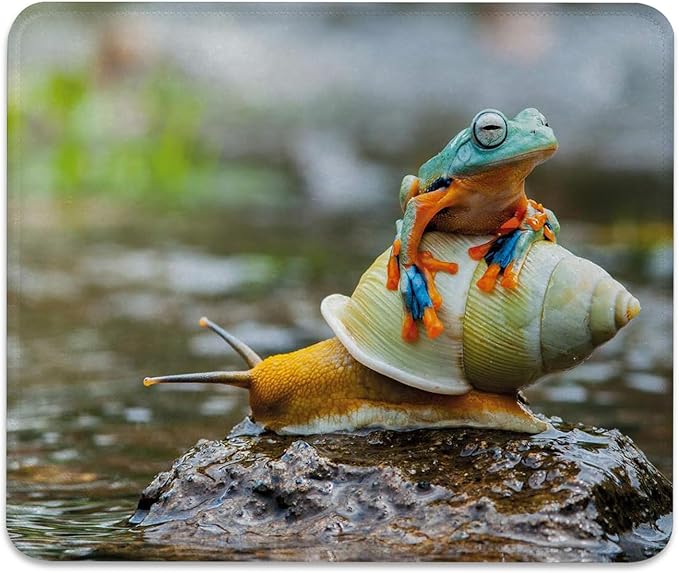Anti-Slip Gaming & Office Mouse Pad with Stitched Edges 9.5 x 7.9 Inch, Colorful Frog Above The Snail Riverscape Water Rock Mollusks Amphibian Animals Funny Scene Durable Smooth Surface Desk Mat