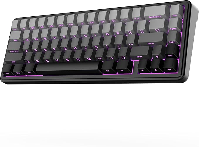EPOMAKER x Aula F65 65% Wireless Mechanical Keyboard, Hot Swappable Gasket Custom Gaming Keyboard with Five-Layer Padding, RGB Backlit, Bluetooth/2.4GHz/USB-C (Black, Reaper Switch)