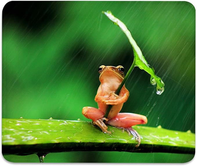 Anti-Slip Rubber Base Gaming & Office Mouse Pad with Stitched Edges 9.5 x 7.9 Inch - Funny Tree Frog Takes Shelter Rainy Day Fun, Durable Smooth Fabric Surface Desk Mat