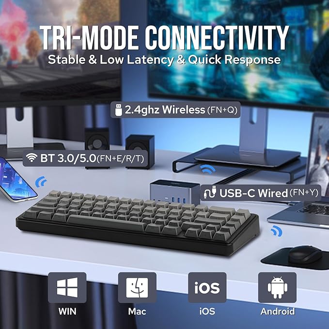 EPOMAKER x Aula F65 65% Wireless Mechanical Keyboard, Hot Swappable Gasket Custom Gaming Keyboard with Five-Layer Padding, RGB Backlit, Bluetooth/2.4GHz/USB-C (Black, Reaper Switch)