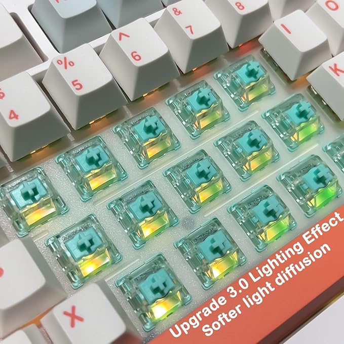 Gateron Magnetic Emperor Keyboard Switches,Factory Pre-lubed/Linear/Freely Setting Pre-Travel 20mm Longer Spring Only for Magnetic Gaming Keyboard(108PCS)