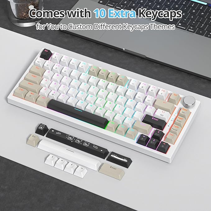 75 Percent Keyboard Gasket-Mounted with Sound Absorbing Pads, 82-Key Compact Wired RGB Mechanical Gaming Keyboard Hot-Swap Socket for Win, Gray Black White