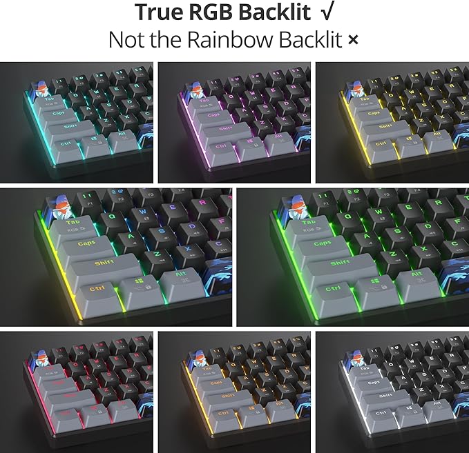 60% Mechanical Keyboard 61-Key Wired Gaming Keyboard with Blue Switch RGB Lighting Effect PBT Keycaps Ultra-Compact Mini Keyboard Suitable for Win/Mac(61 Dark)