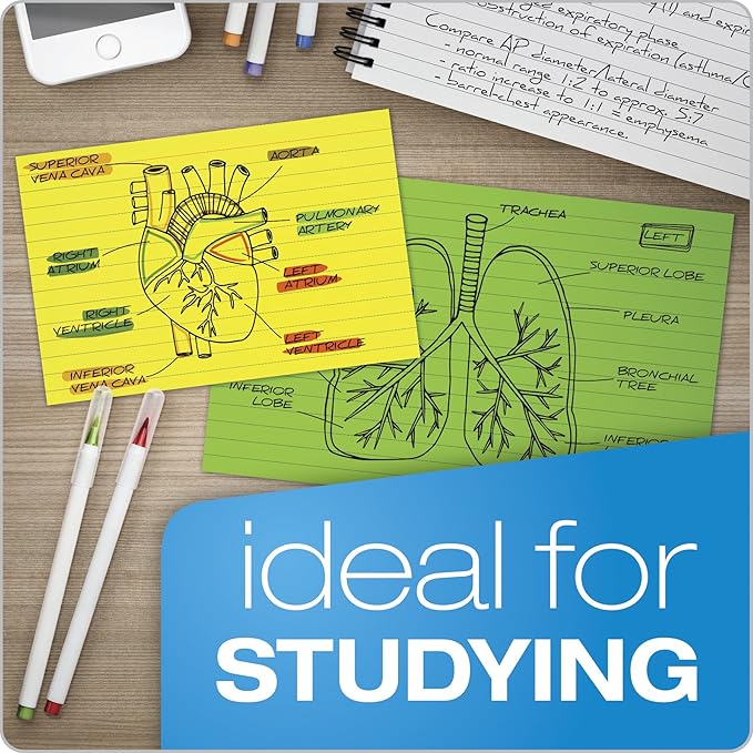 Oxford Neon Index Cards, 4" x 6", Ruled, Assorted Colors, 100 Per Pack (99755EE)